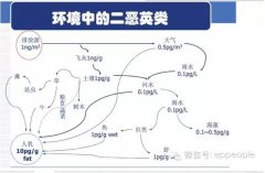 各行業二惡英污染產生與治理及對比表